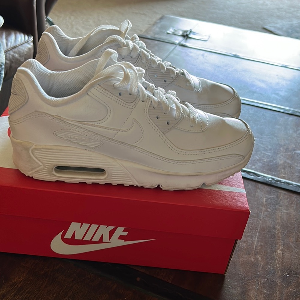 Brand New air max 90s